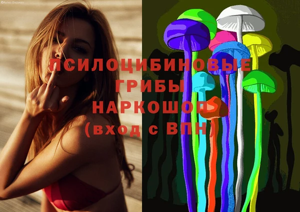 каннабис Бородино